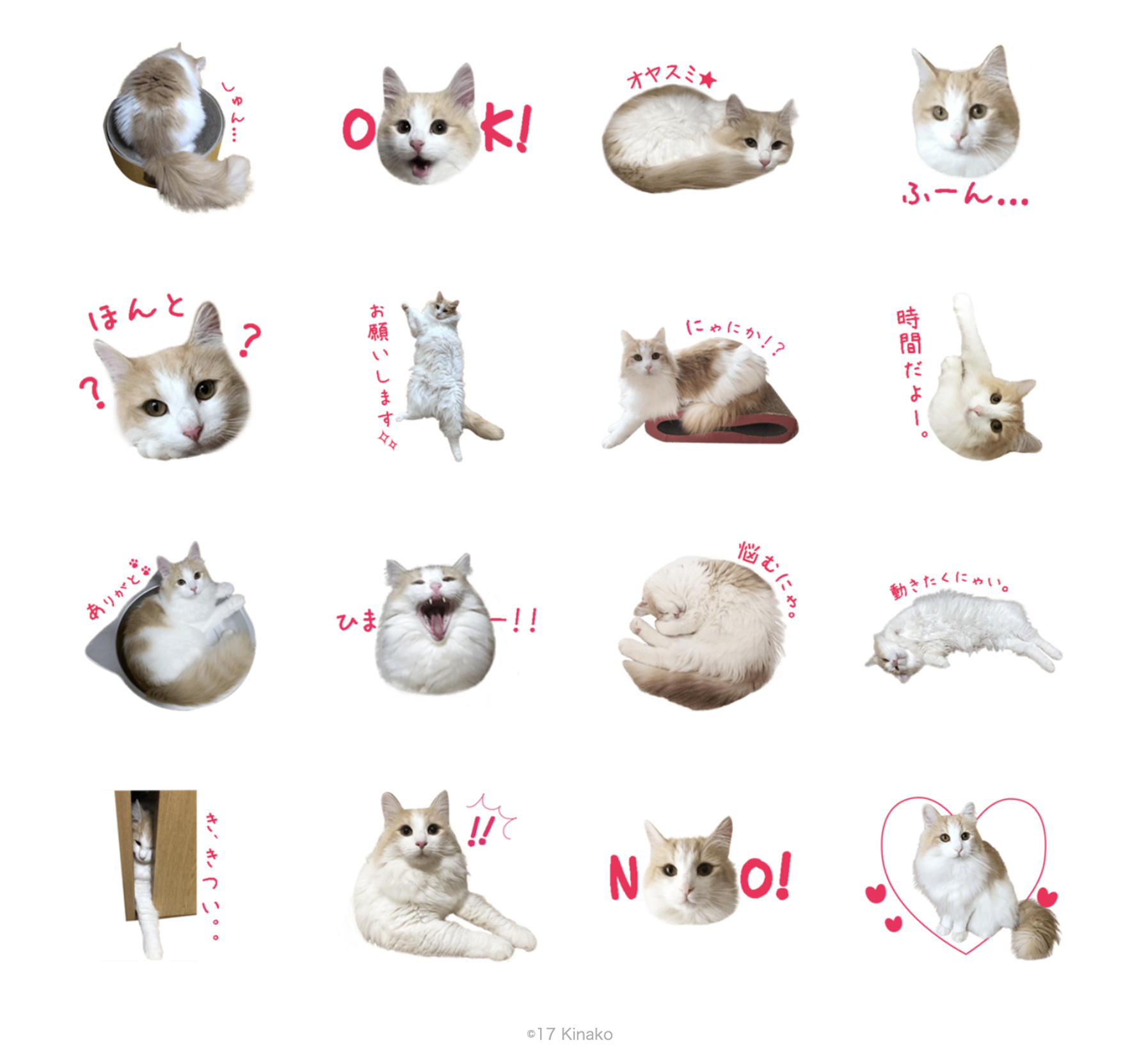 “愛猫きなこのLINEスタンプのスクリーンショット"